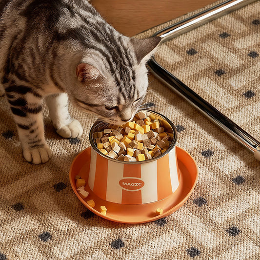 Stainless Steel Bowl for Cat & Dog in Hat Shape