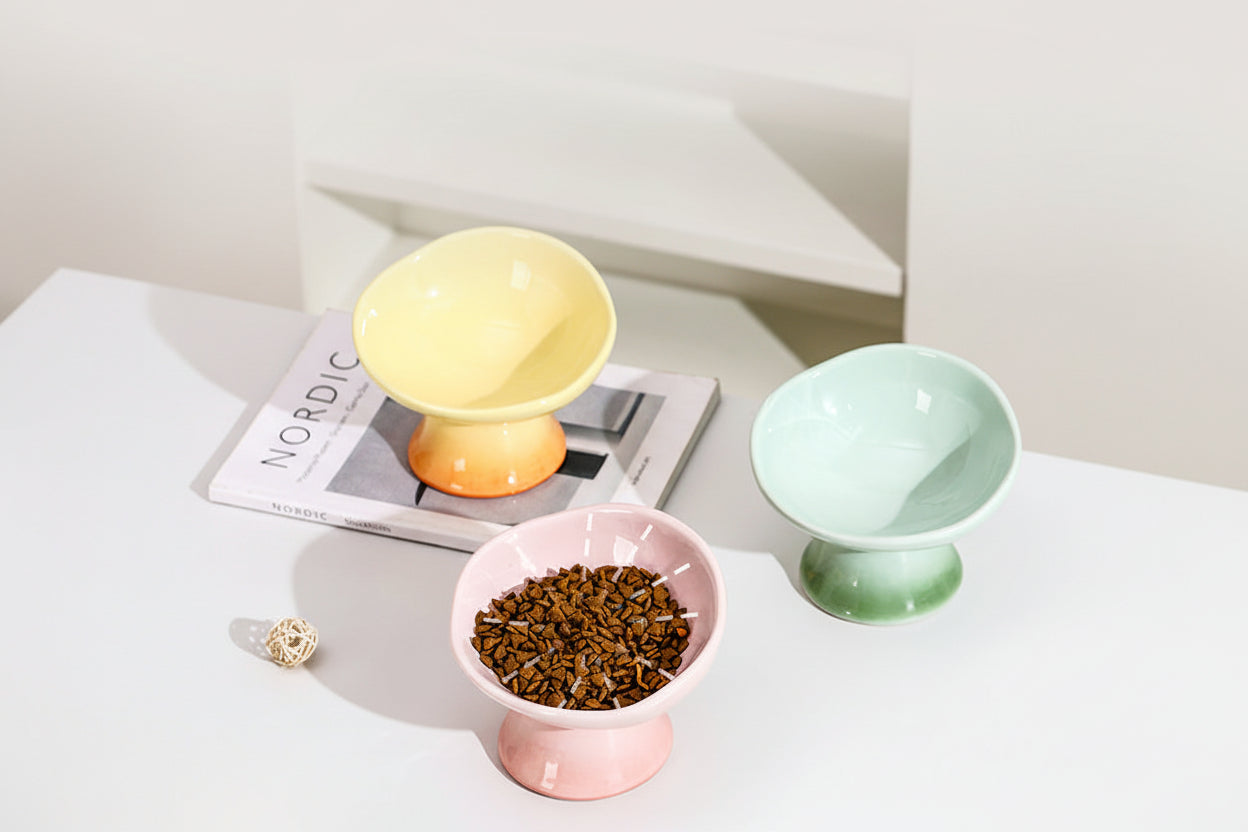 Cat & Dog Bowl Ceramic Petal